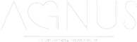 Agnus Life - Corretora de Seguros